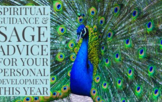 Spiritual Guidance and Sage Advice for YOur Personal Development This Year