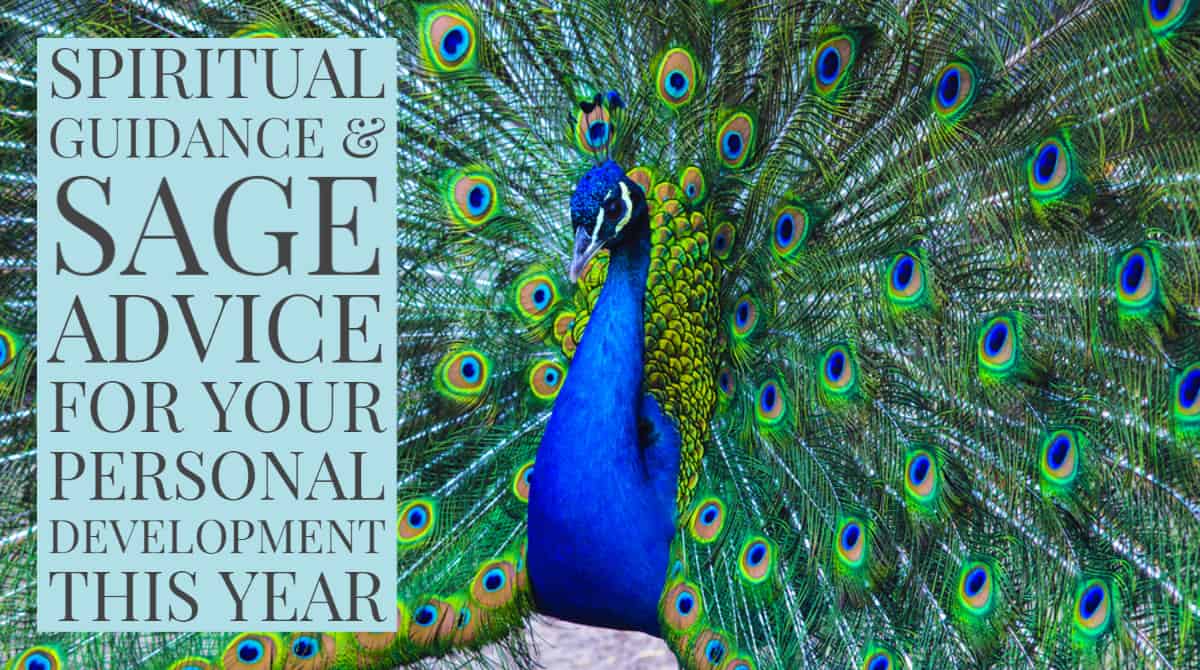 Spiritual Guidance and Sage Advice for YOur Personal Development This Year