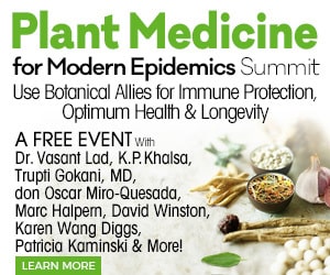 Plant Medicine Summit 2020 Herbalism Training for Modern Epidemics