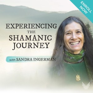 Shamanic Journey TRaining Course with Sandra Ingerman