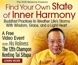 Discover Buddhist practices to weather life’s storms with wisdom and grace
