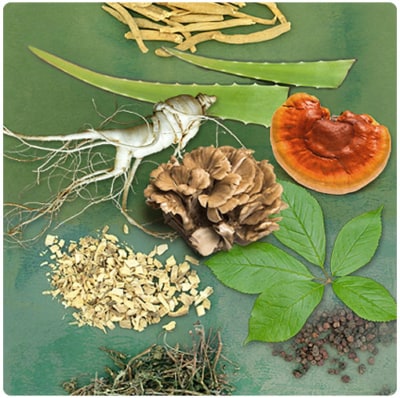 Protect your body and mind from stress with adaptogenic mushrooms & herbs