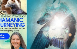 Sandra Ingerman Shamanic Journeying