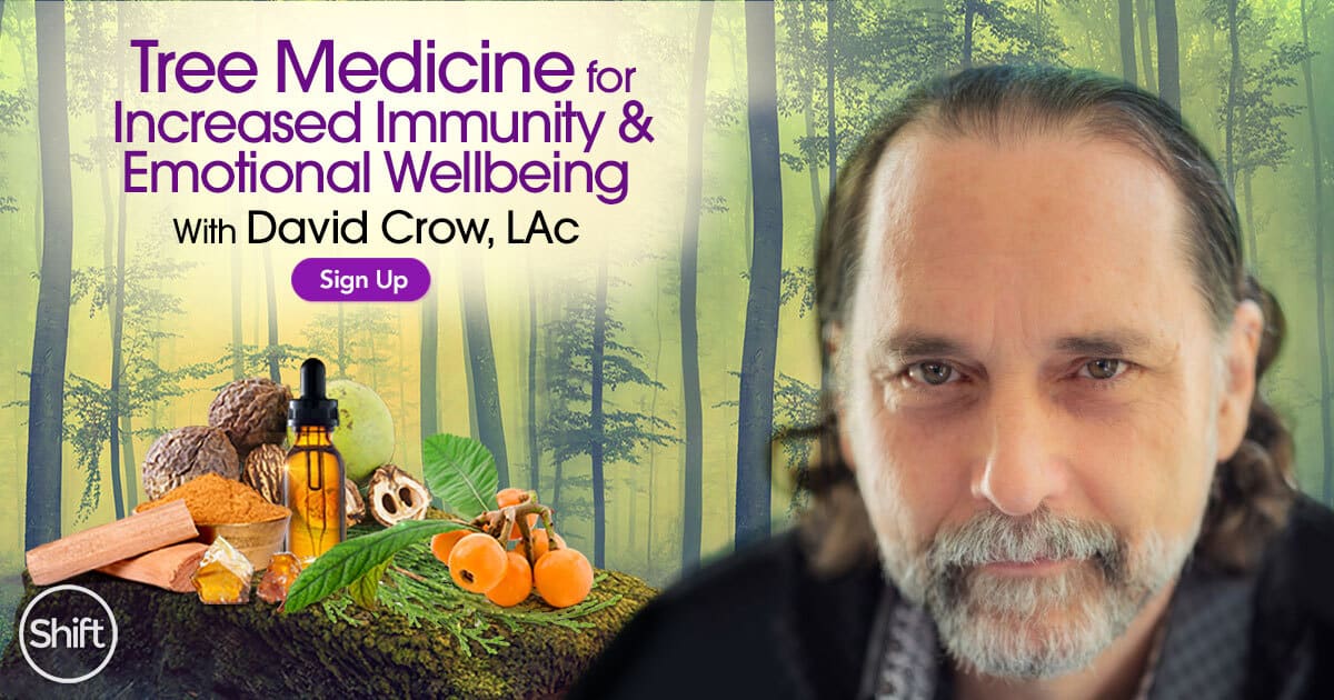 Tree Medicine -Natural Remedies for Increased Immunity & Emotional Wellbeing with David Crow (November – January 2021)