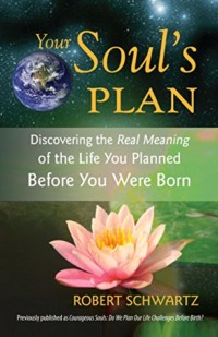 Your Soul's Plan- Discovering the Real Meaning of the Life You Planned Before You Were Born by Robert Schwartz