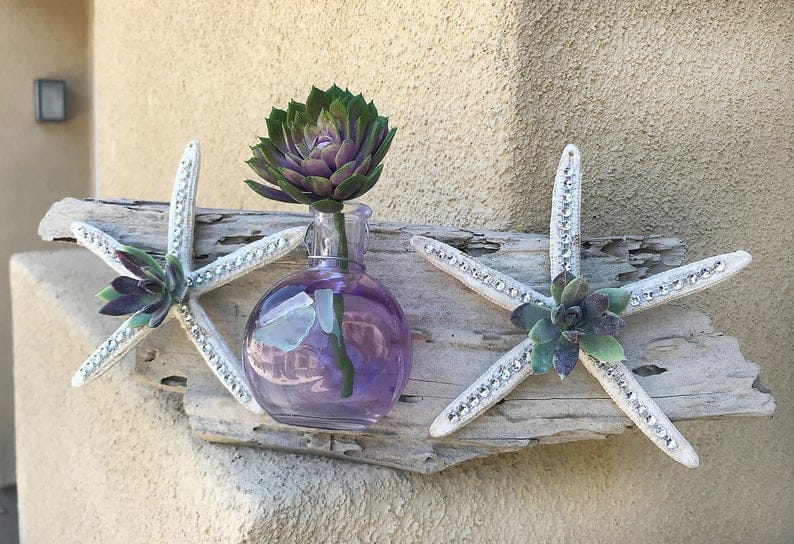 Handmade Starfish Wall Art, Starfish Decor, Succulent Wall decor Zen she shed interiors