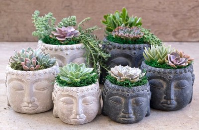 Large Buddha Head Planter Concrete Pot with Succulent DIY Kit