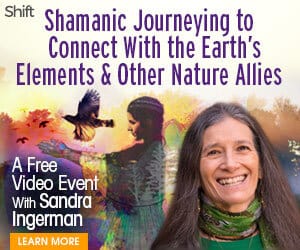 Discover how to cultivate reciprocal relationships with nature beings for deep healing