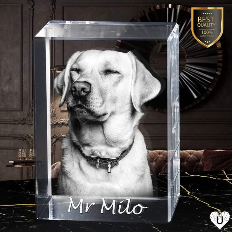 3D Crystal Pet Portraits- Gifts for Pets Lovers - personalized Photo and writing