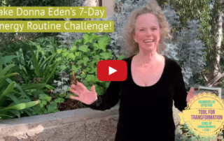 The 7 Day Challenge_ Daily Energy Routine with Donna Eden