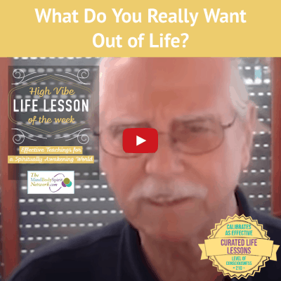 What Do You Want Out of Life Lessons with Michael Singer