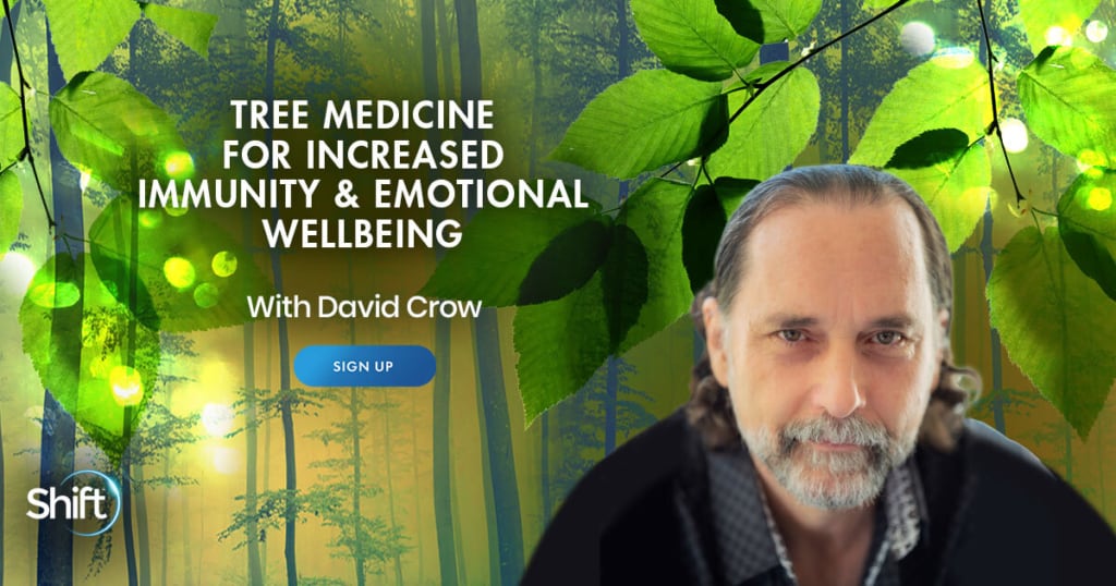 Tree Medicine for Increased Immunity & Emotional Wellbeing with David Crow