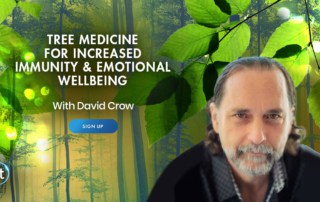 Tree Medicine for Increased Immunity & Emotional Wellbeing with David Crow