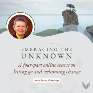 How to Embrace Change and Uncertainty Newest Online Course with Pema Chodron-2