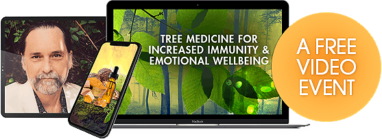 Discover MEDICINAL trees spices that boost your digestive power and create microbial protection