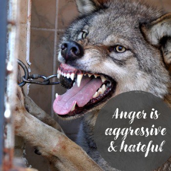 Anger is aggressive and hateful
