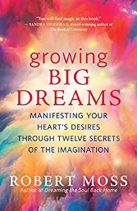 Growing Big Dreams- Manifesting Your Heart’s Desires through Twelve Secrets of the Imagination by Robert Moss