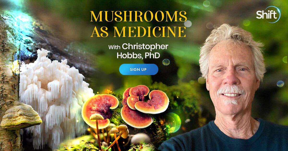 Mushrooms as Medicine with Christopher Hobbs (July – September 2021)