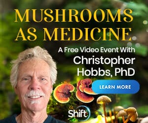 Mushrooms as Medicine: Discover the Science-Based, Practical Benefits Mushrooms Add to Your Diet, Healing Regimen & Spiritual Evolution