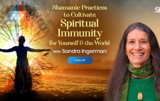 Shamanic Practices to Cultivate Spiritual Immunity for Yourself & the World with Sandra Ingerman (August – September 2021)