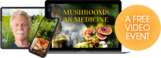 Discover why mushrooms have been viewed as medicine for thousands of years
