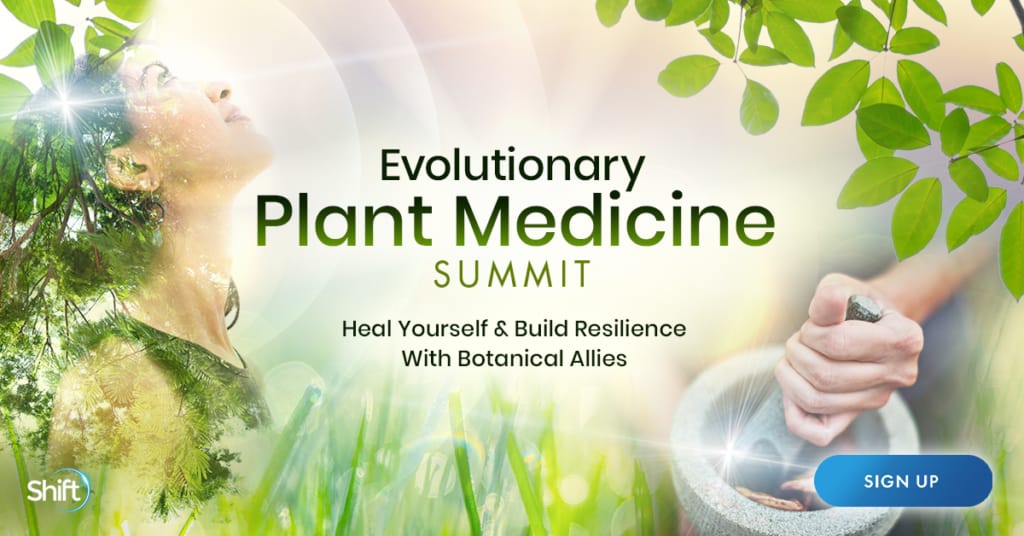 Plant Medicine Summit 2022- Herbal Medicine Training