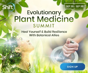 Explore adaptive healing pathways with botanical allies and herbal medicine