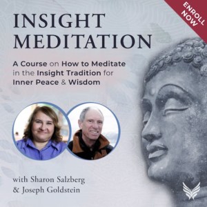 Insight Meditation an Online Course with Sharon Salzberg and Joseph Goldstein