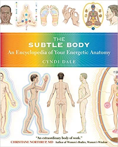 The Subtle Body- An Encyclopedia of Your Energetic Anatomy by Cyndi Dale