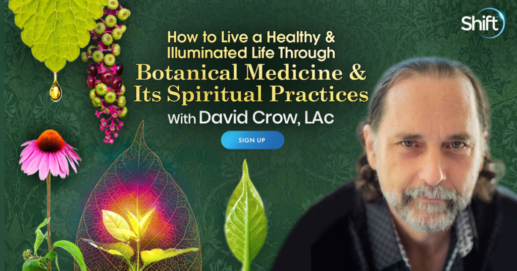 How to Live a Healthy & Illuminated Life Through Botanical Medicine & Its Spiritual Practices with David Crow (December – Febuary 2022)