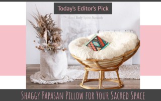 Shaggy Papasan Pillow for your Scared Space