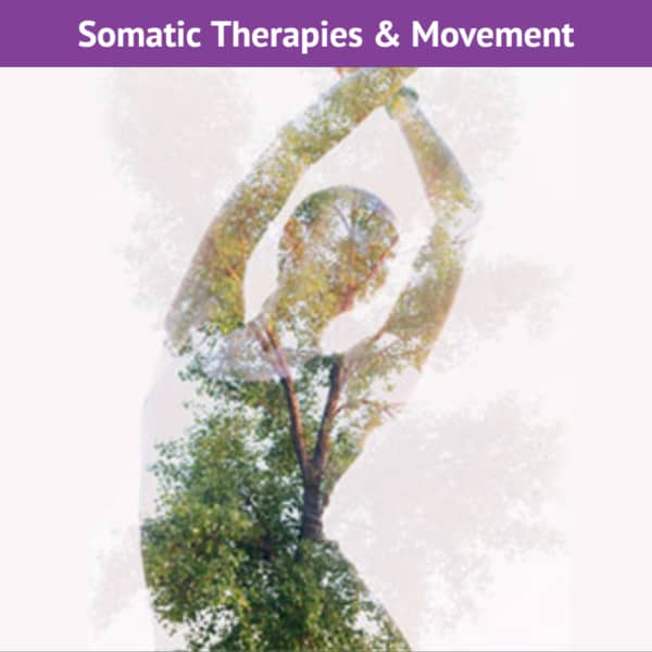 Somatic Therapy Somatic Movement Training Courses