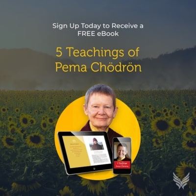 5 Teachings of Pema Chodron-2