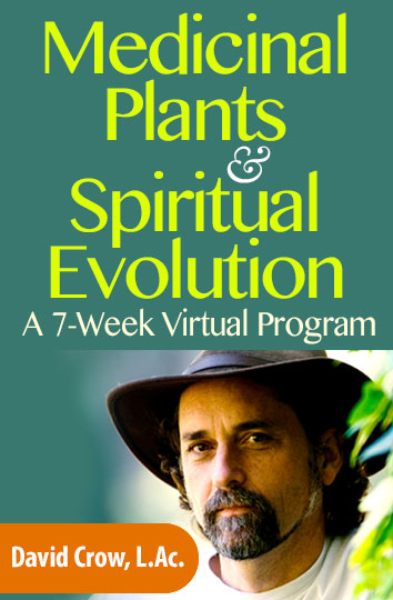 Online Herbalist Classes: How Medicinal Plants Can Fuel Your Spiritual Evolution with David Crow