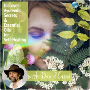 Plant Medicine and Ayurvedic Herbalist Training with David Crow (2)