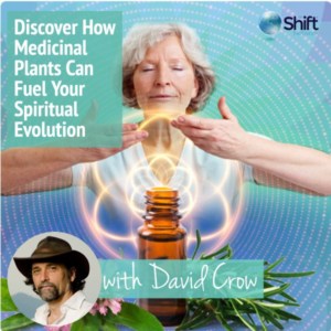 Plant Medicine and Herbalist Training with David Crow