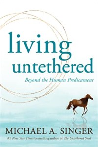 Living Untethered- Beyond the Human Predicament by Michael A. Singer Online Course Spiritual Teacher