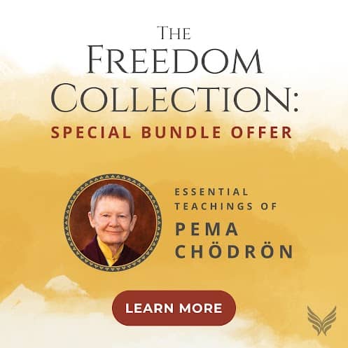 Sounds True Presents
The Freedom Collection
The Essential Teachings of Pema Chödrön