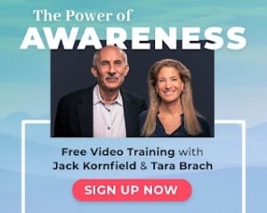 The Power of Awareness Free Video Training with Jack Kornfield and Tara Brach
