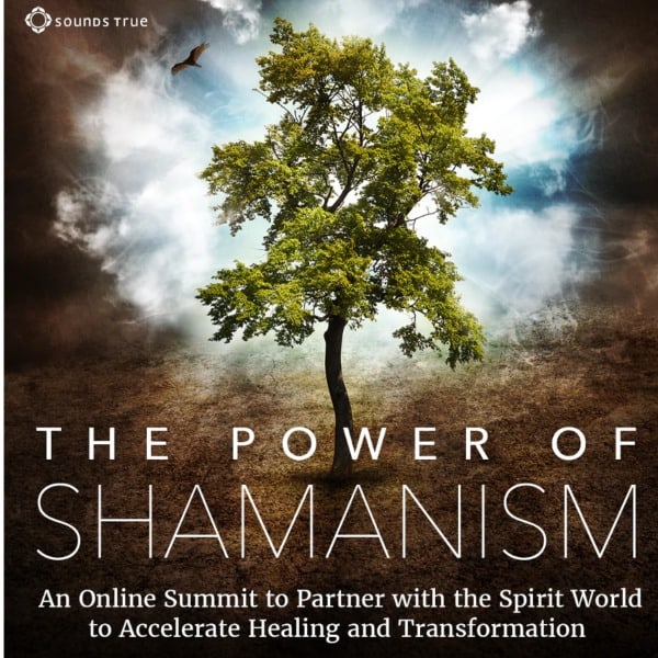 The Power of Shamanism An Online Summit to Partner with the Spirit World to Accelerate Healing and Transformation