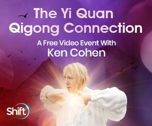 The Yi Quan Qigong Connection: Re-educate Your Nervous System for Balance, Increased Energy & Strength