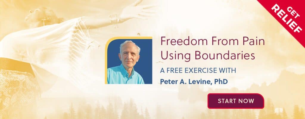 Freedom from Chronic Pain from Peter A. Levine