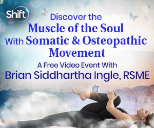 Discover the most crucial part of your body for healing stress, pain, and trauma