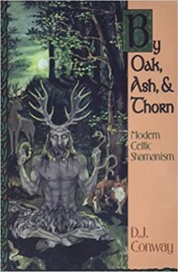 By Oak, Ash, & Thorn: Modern Celtic Shamanism (Llewellyn's Celtic Wisdom) 