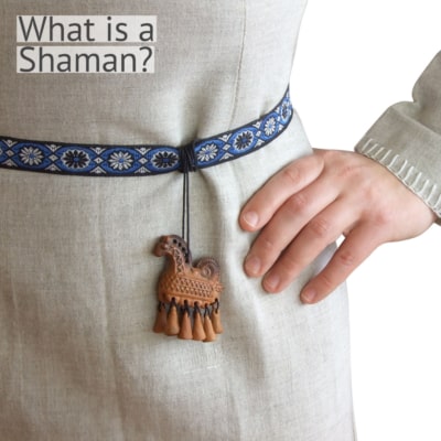 What is a Shaman