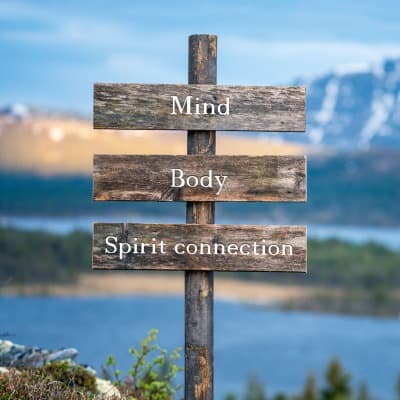 Quiz Results- Discover Somatic Therapies and make the mind-body-spirit connection