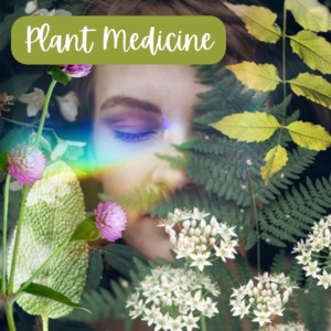 Plant Medicine Healing Summit