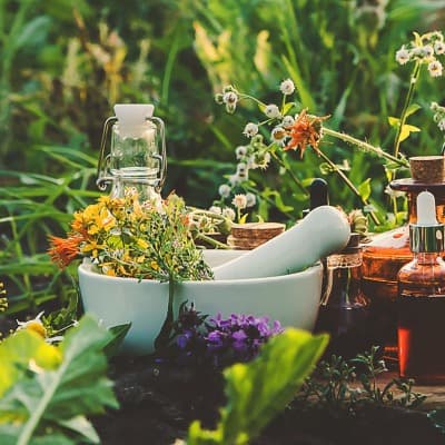 Plant medicine plays a significant role in shamanic healing practices