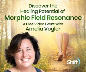 Discover the healing potential of morphic field resonance