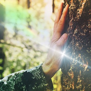 Discover valuabe introductions to herbalism training masters